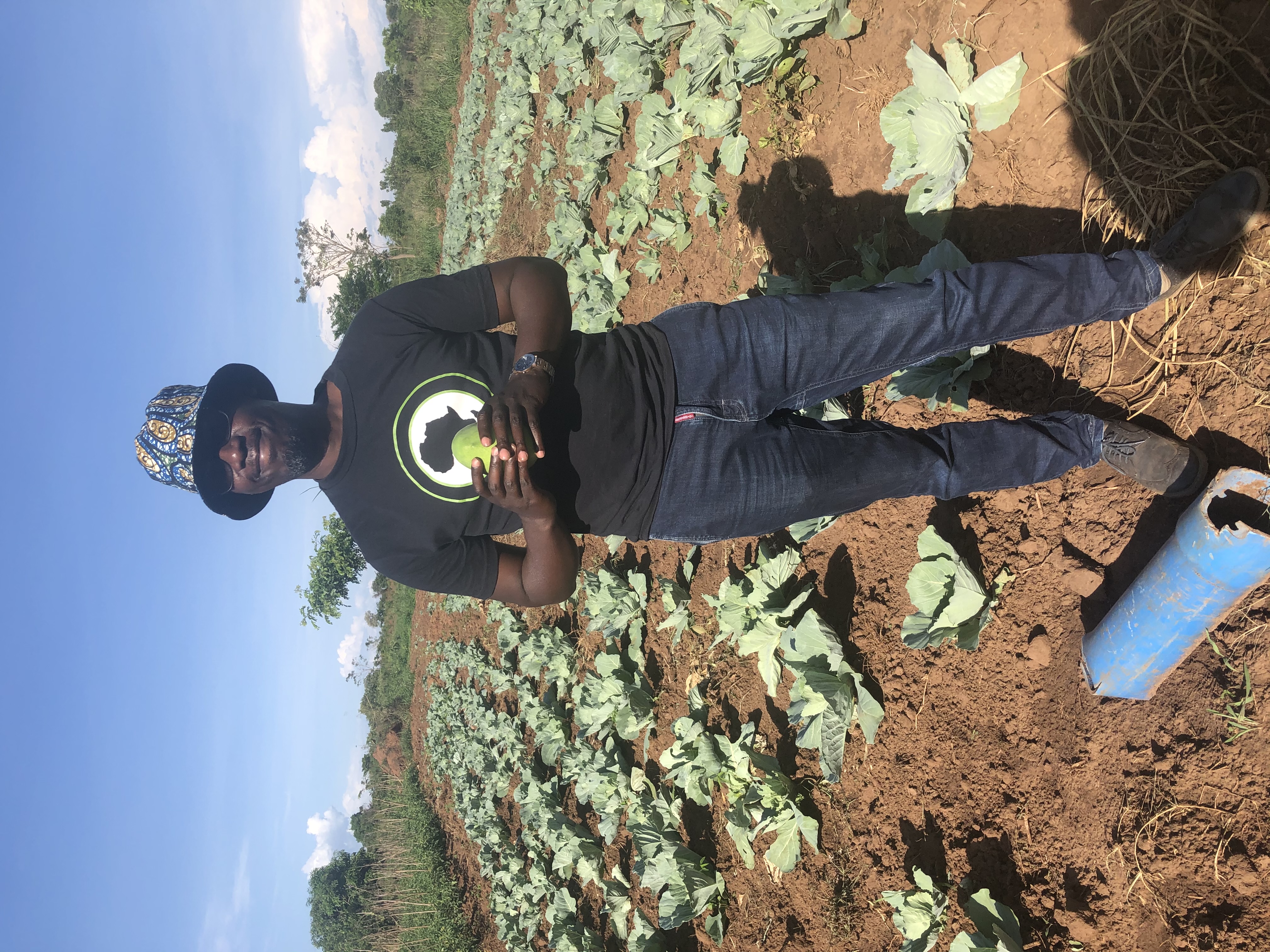 Field work in agriculture project